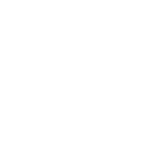 PRINCEGEM
